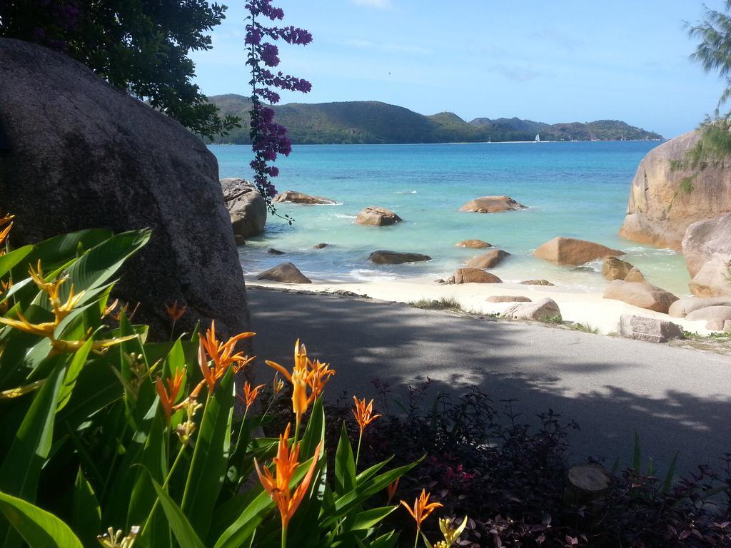 Jardin Marron Lejlighed Baie Sainte Anne Eksteriør billede