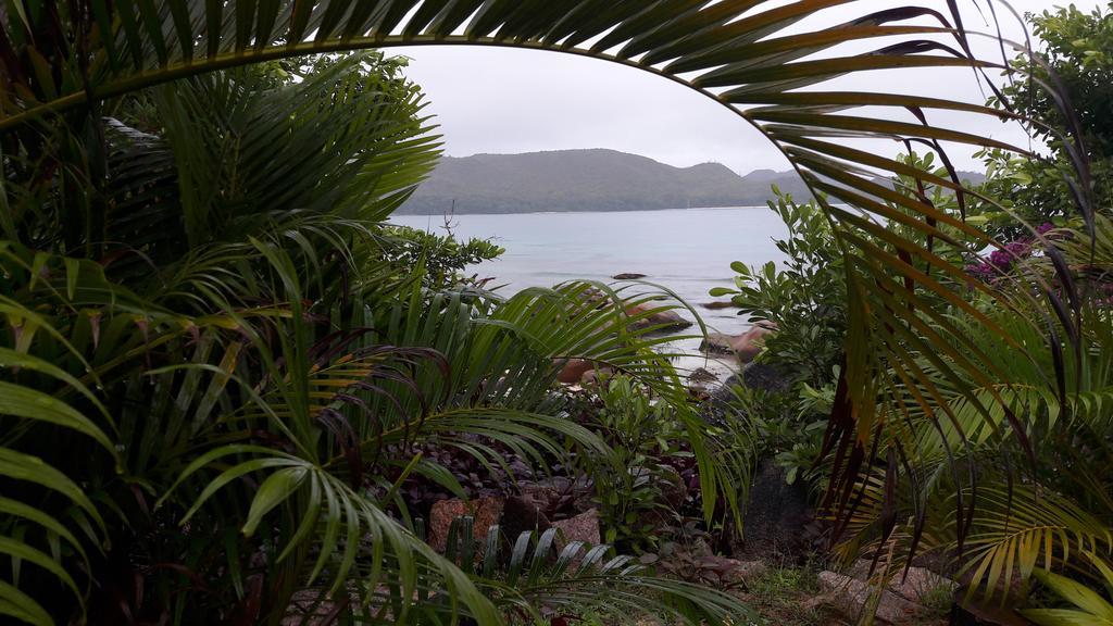 Jardin Marron Lejlighed Baie Sainte Anne Eksteriør billede