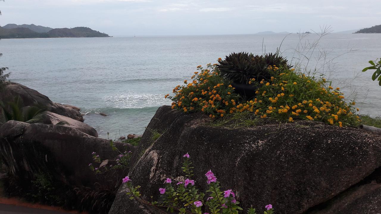Jardin Marron Lejlighed Baie Sainte Anne Eksteriør billede