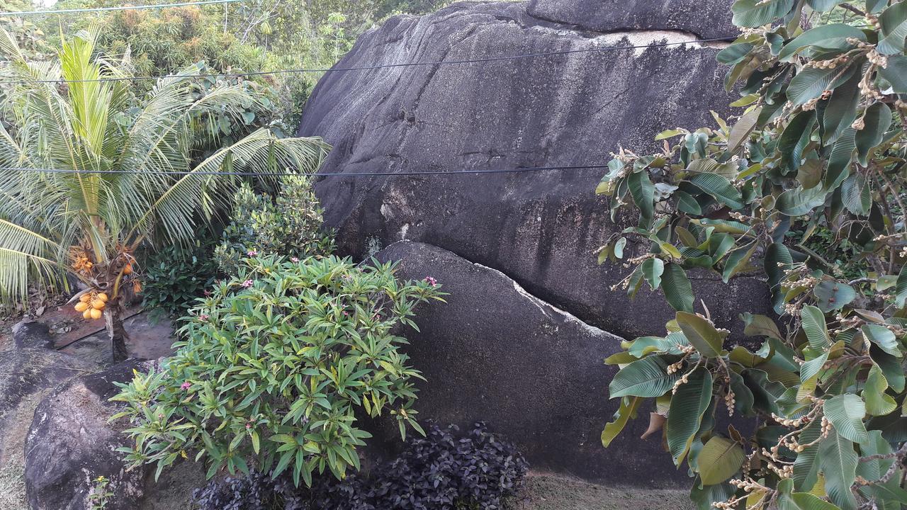 Jardin Marron Lejlighed Baie Sainte Anne Eksteriør billede